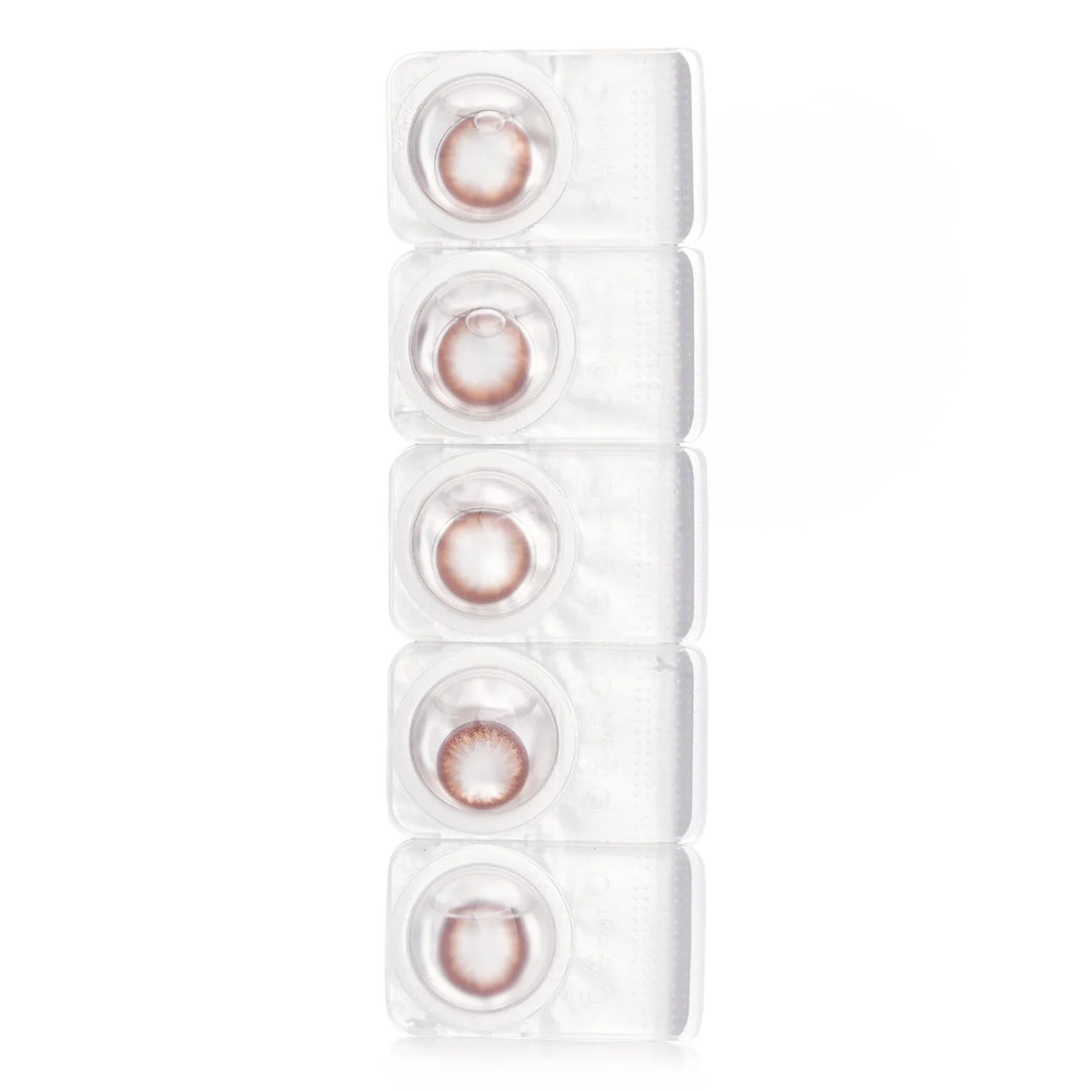 1Day Brown Contact Lenses 5pcs G365