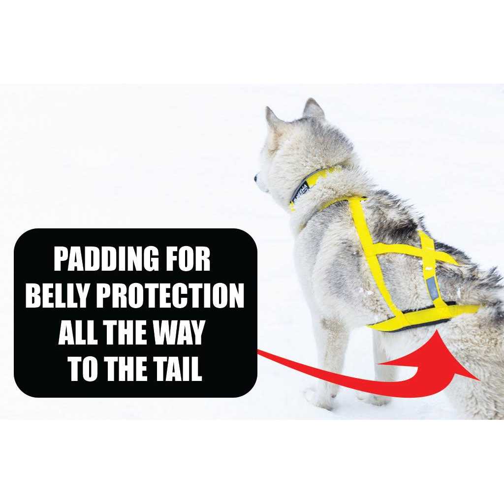Dog Pulling Harness A568