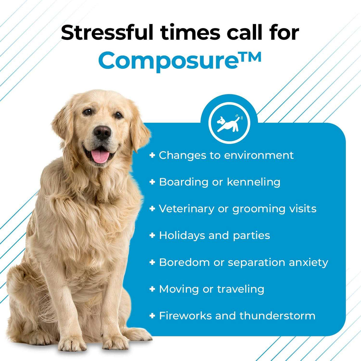 Calming Supplement for Dogs G2776
