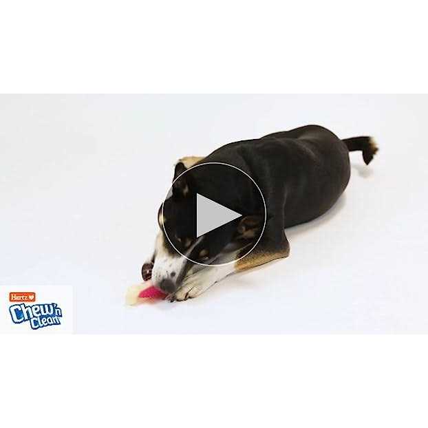 Dog Chew Toy Treat B671245