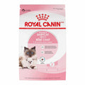 Dry Cat Food H93156