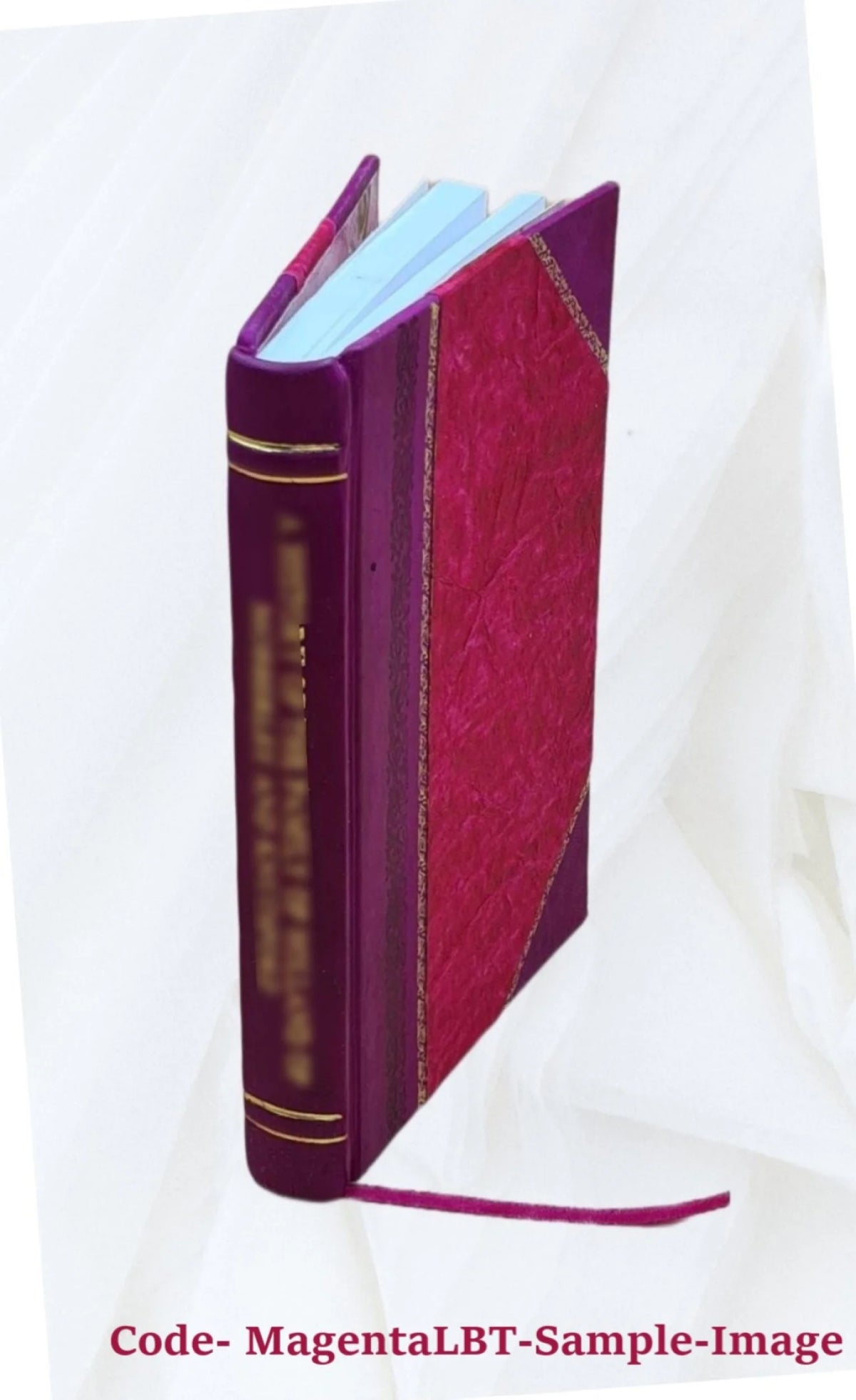 Park and Playground System Plan Leather Bound V8723