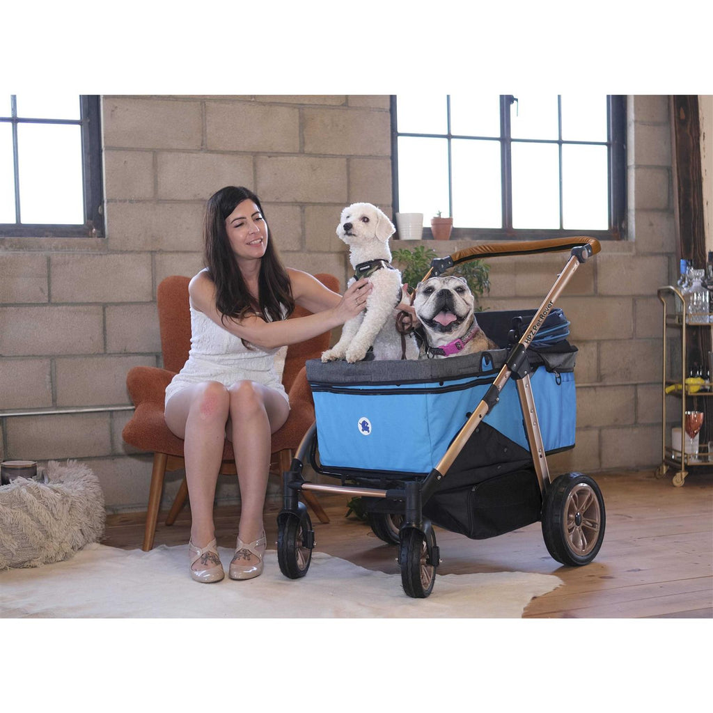 Pet Stroller Q21621