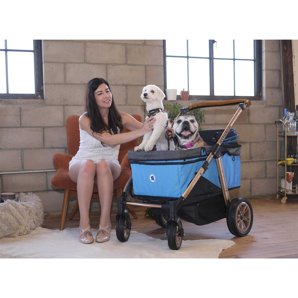 Pet Stroller Q21621