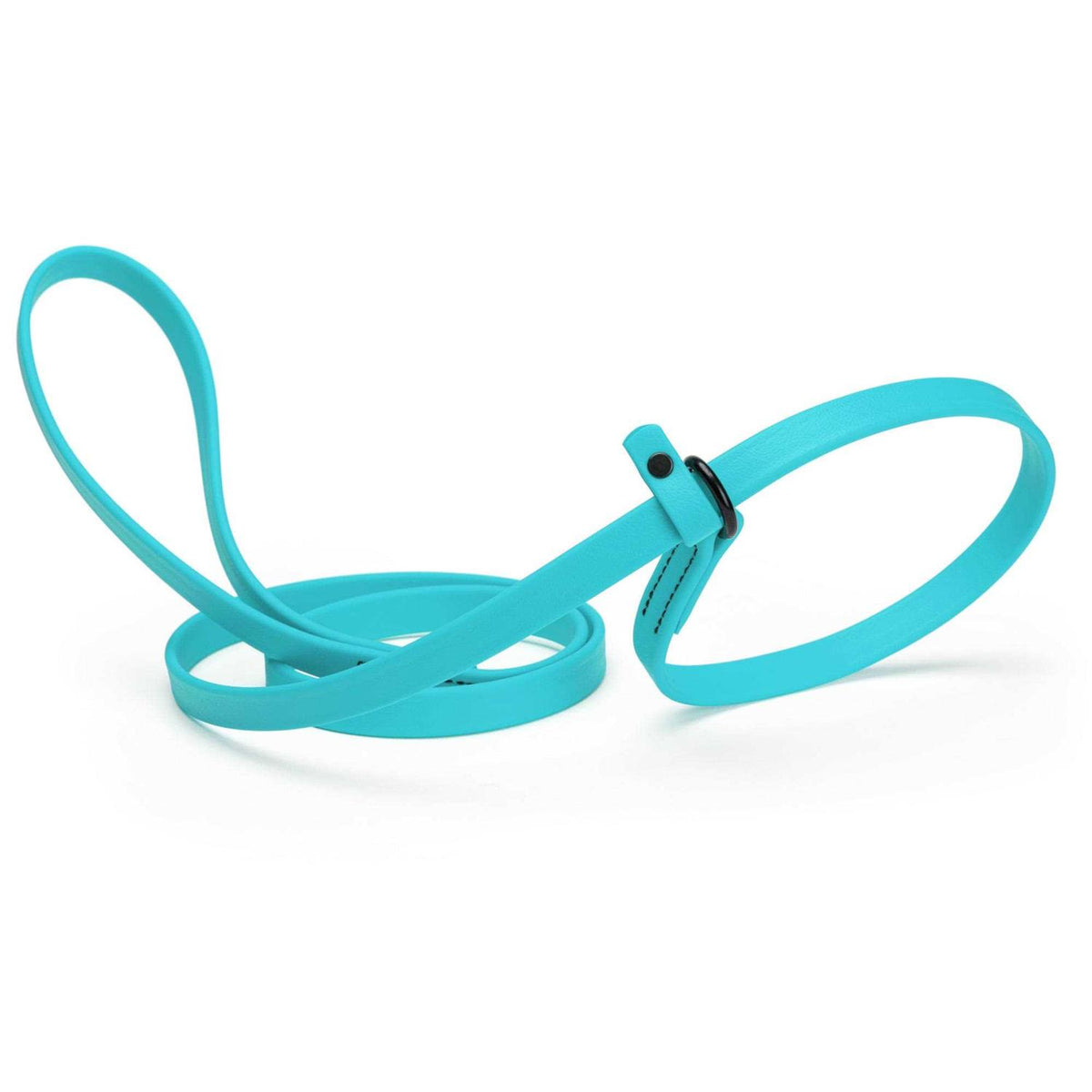 Biothane Slip Dog Leash Z804