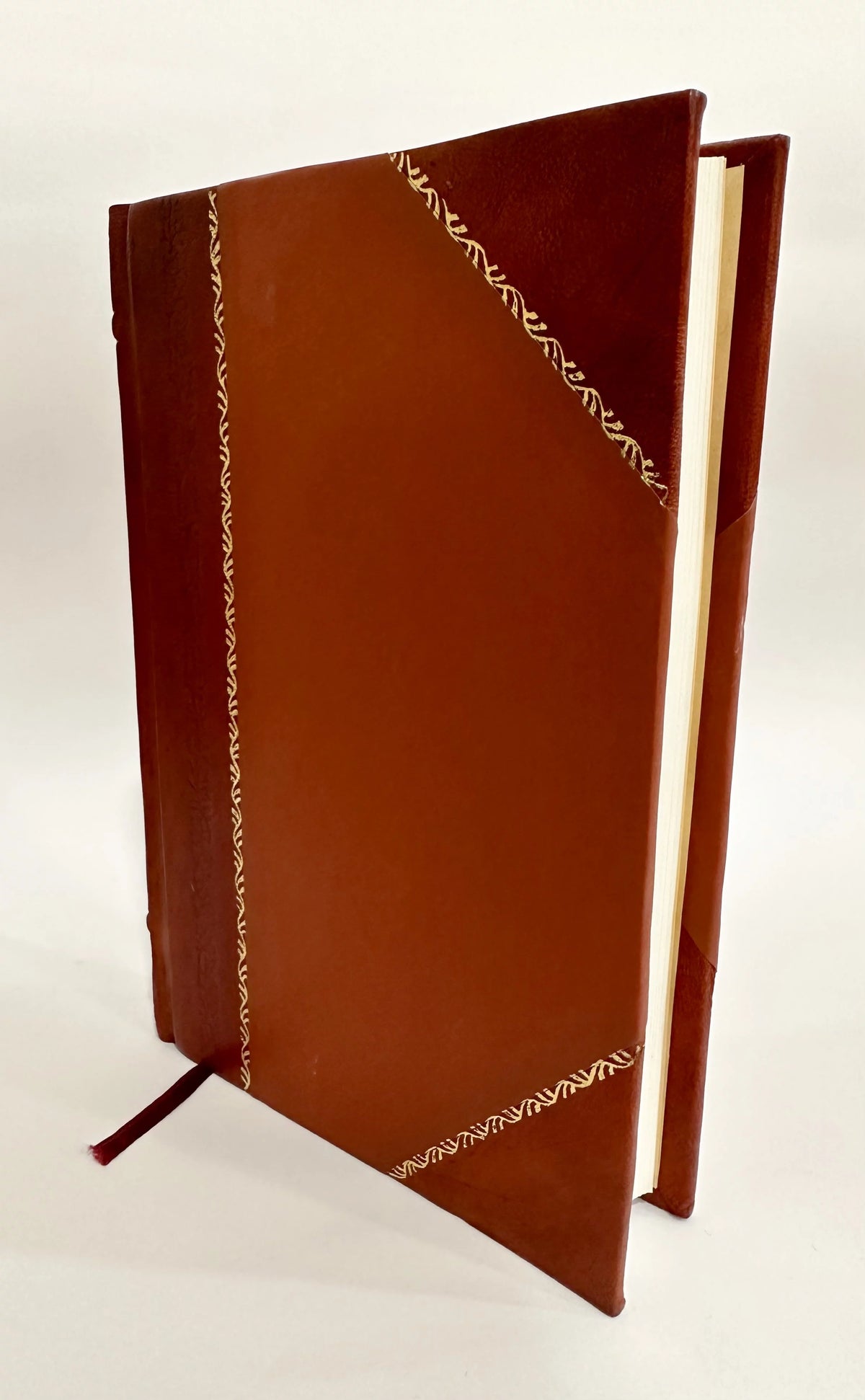 Tentamina Electrica Leather Bound M354