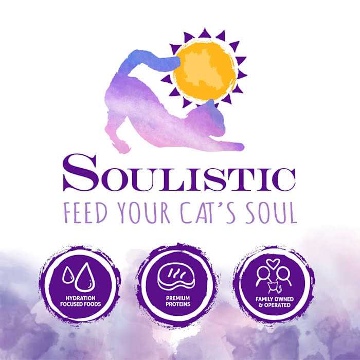 Wet Cat Food Variety Pack Q9956