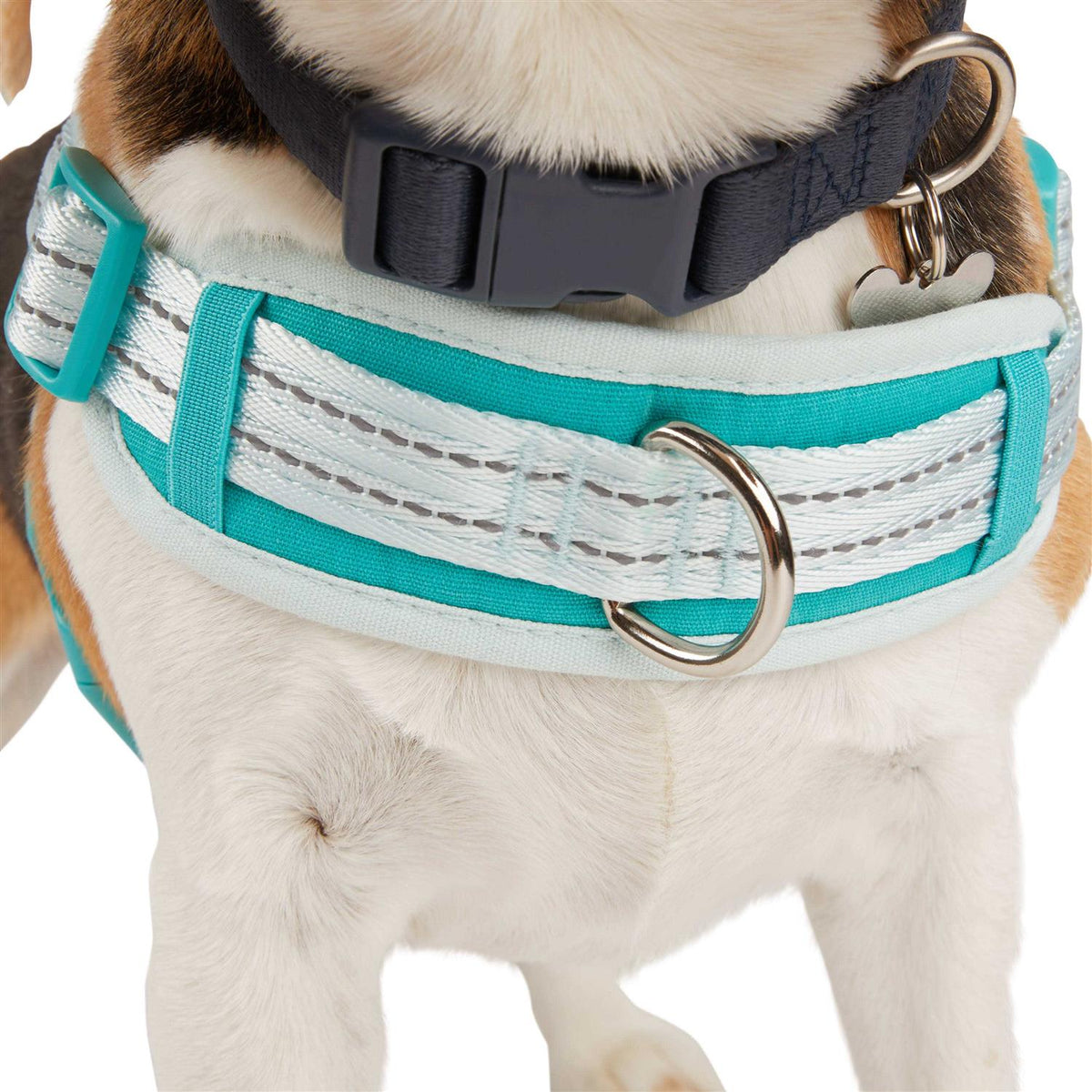 Easy On Training Dog Harness T16917
