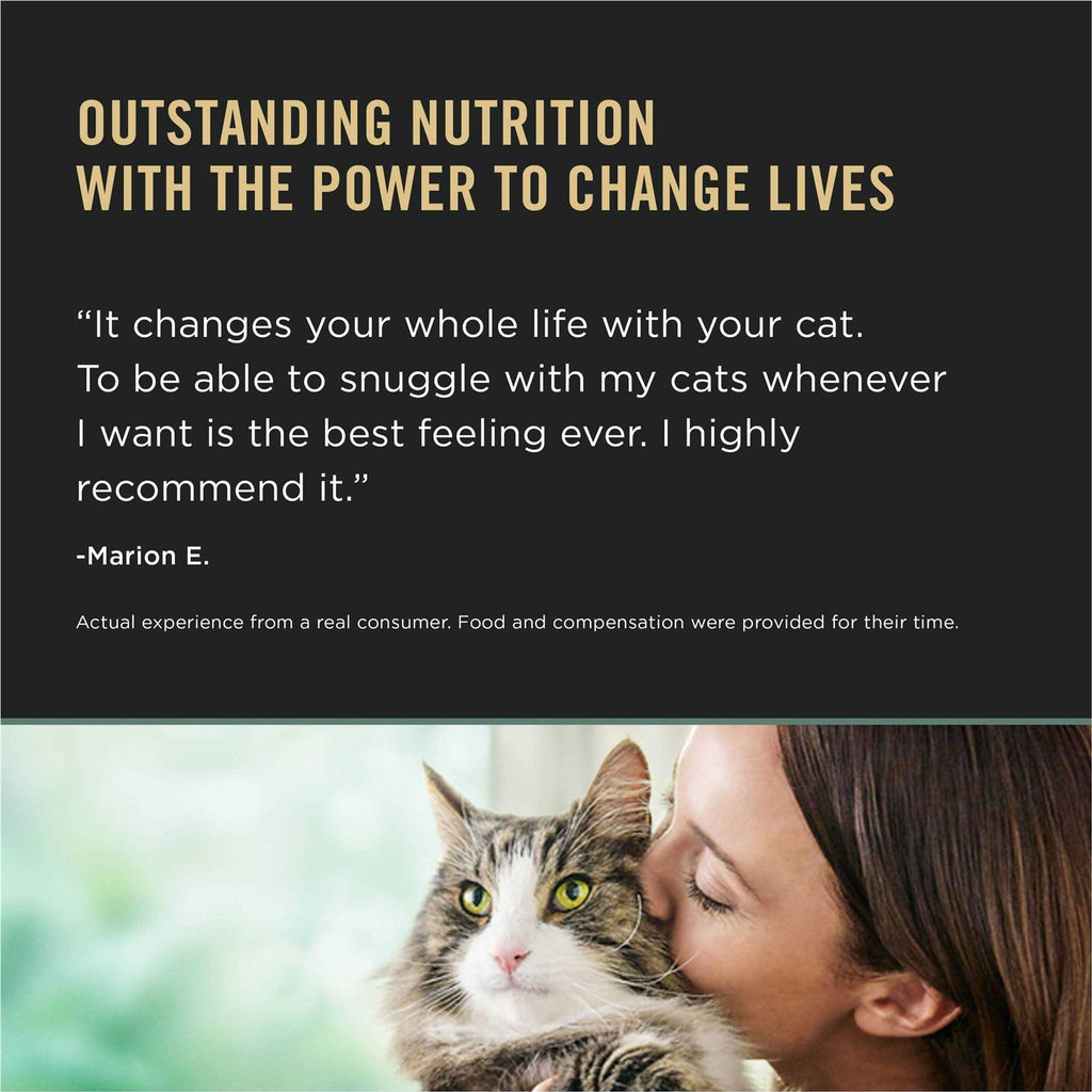 Chicken & Rice Dry Cat Food Y4040